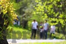 足球比分即时网手-探秘足球比分即时网，球迷的数字战场与信息革命